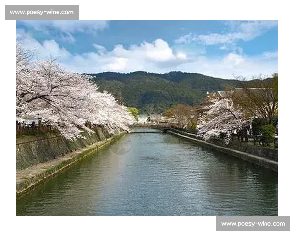 大阪樱花与札幌冰雪之美对比探秘四季魅力与旅游体验 大阪樱花与札幌冰雪之美对比探秘四季魅力与旅游体验